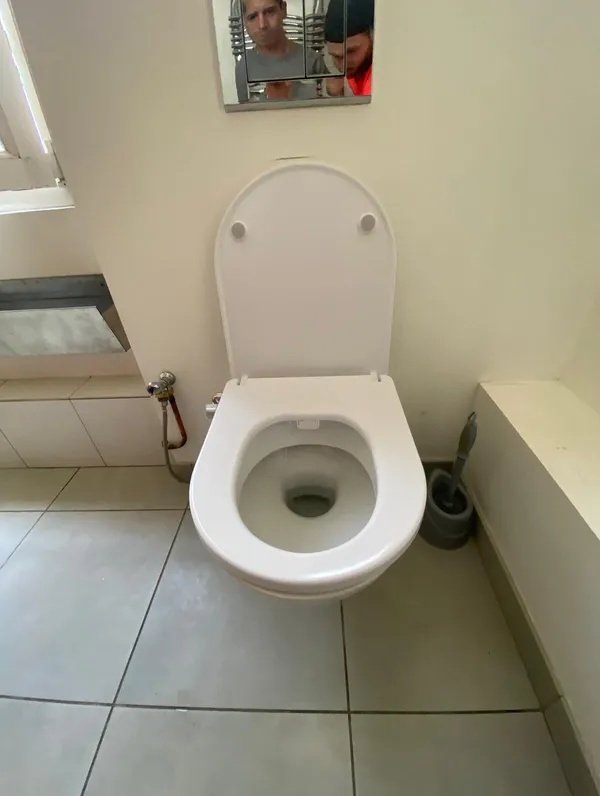 Pose d'abattants japonais WC