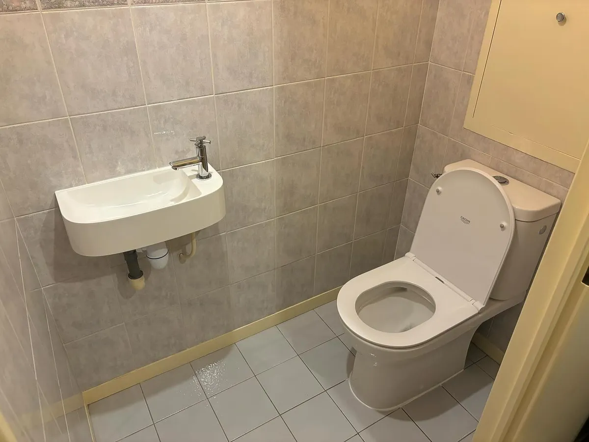 Remplacement de WC et lave-mains